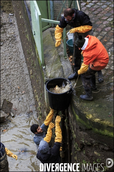 Pêche miraculeuse dans le canal St Martin avant qu il ne soit complètement vidé pour permettre la réparation de ses écluses.