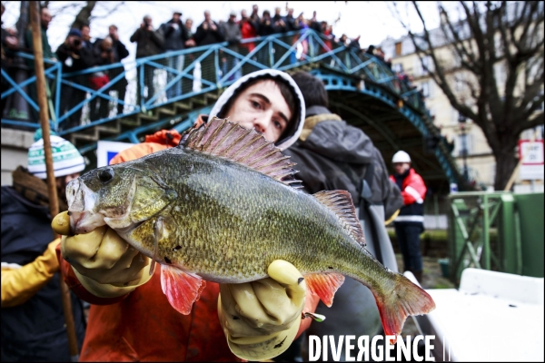 Pêche miraculeuse dans le canal St Martin avant qu il ne soit complètement vidé pour permettre la réparation de ses écluses.