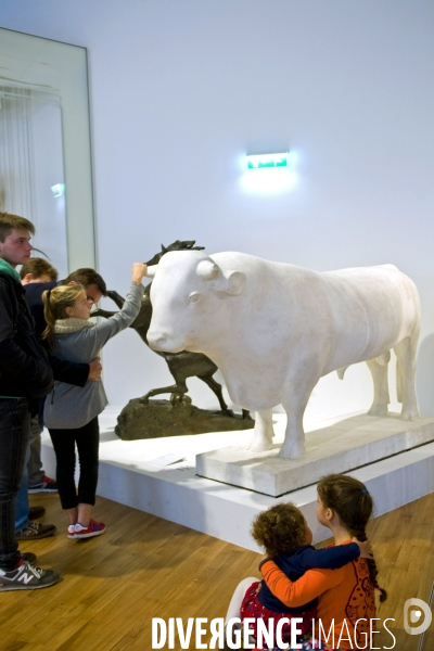 Au musee de l Homme,le visiteur s interroge sur le monde actuel et son evolution et sur les mutations qui font evoluer l humanite.