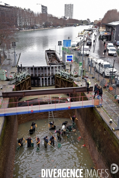 Nettoyage du canal saint martin