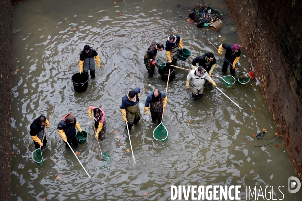 Nettoyage du canal saint martin