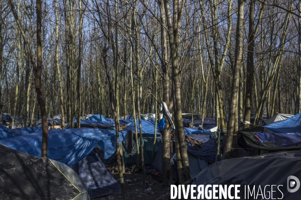 La jungle de Calais