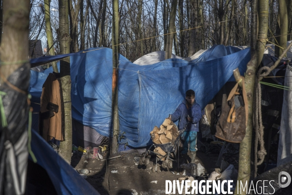 La jungle de Calais