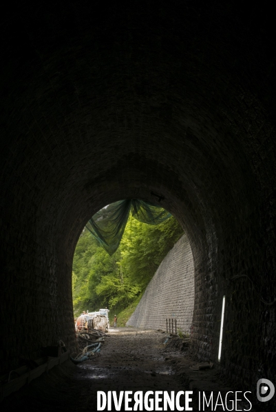 Trains Pyrénéens