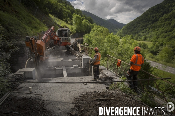 Trains Pyrénéens