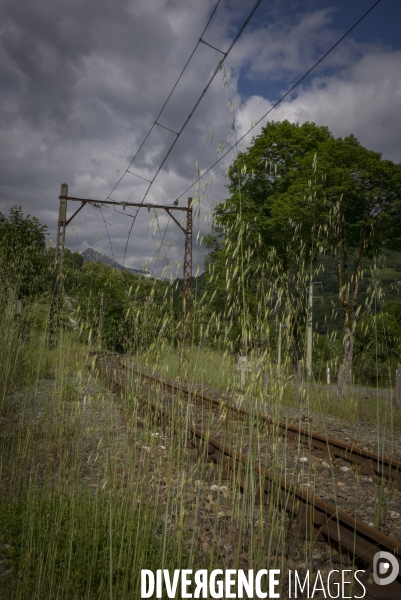 Trains Pyrénéens