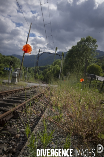 Trains Pyrénéens