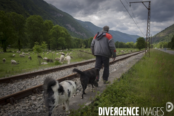 Trains Pyrénéens