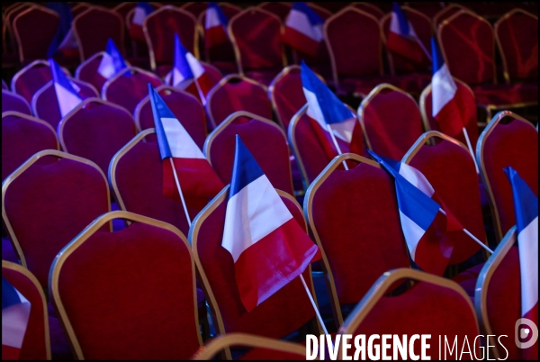 Regionales 2015 - meeting de marine le pen a paris