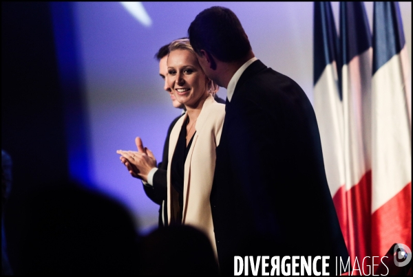 Regionales 2015 - meeting de marine le pen a paris