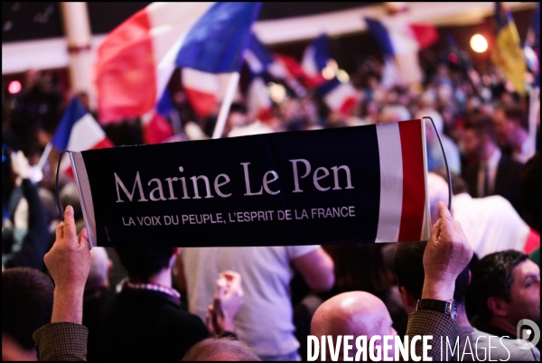 Regionales 2015 - meeting de marine le pen a paris