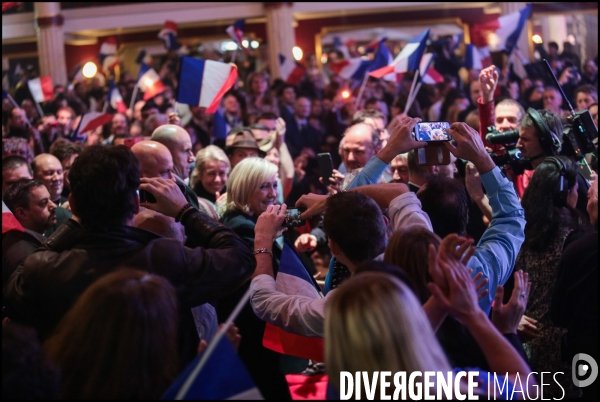 Regionales 2015 - meeting de marine le pen a paris