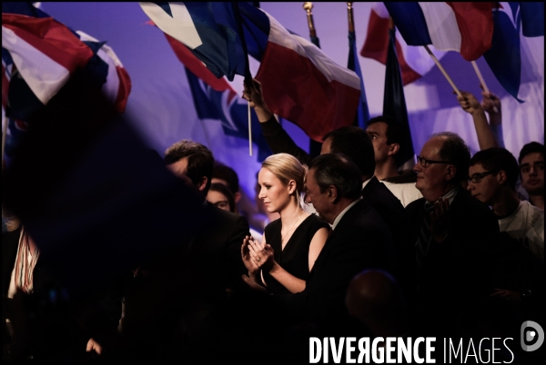 Regionales 2015 - meeting de marine le pen a paris