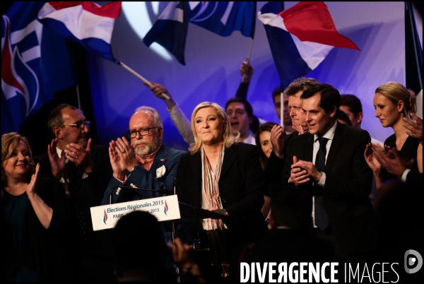 Regionales 2015 - meeting de marine le pen a paris