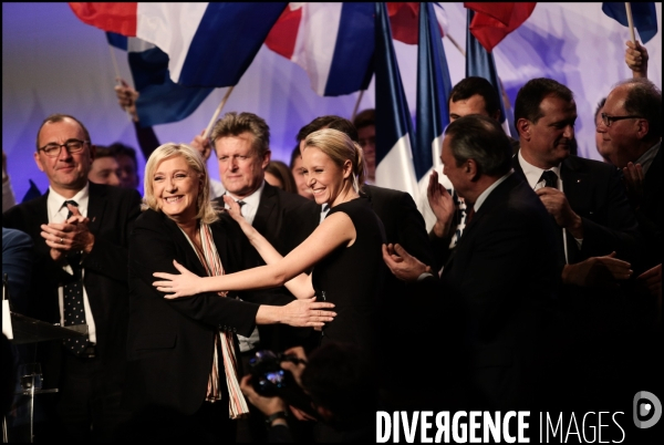 Regionales 2015 - meeting de marine le pen a paris