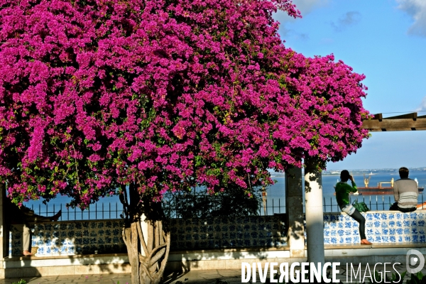 Lisbonne.Mirador sur le Tage