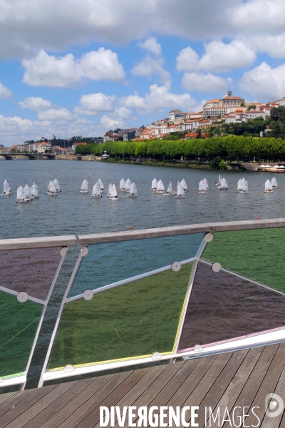 Coimbra.Portugal.Regate d optimists sur le fleuve Mondego -
