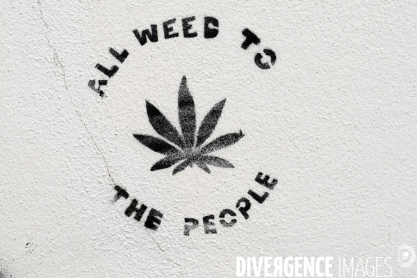 Coimbra.Street art.Pochoir pour la liberalisation du cannabis