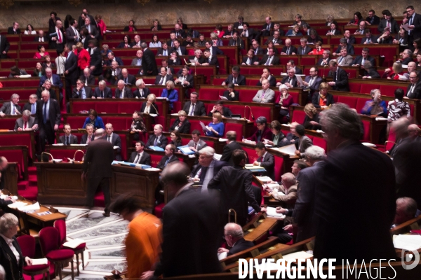 Déchéance de nationalité, assemblée nationale