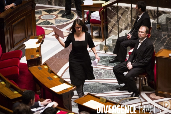 Déchéance de nationalité, assemblée nationale