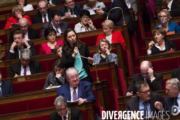 Déchéance de nationalité, assemblée nationale