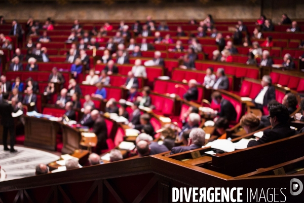 Déchéance de nationalité, assemblée nationale