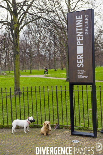 Londres.A la Serpentine gallery, deux chiens attendent leurs maitres