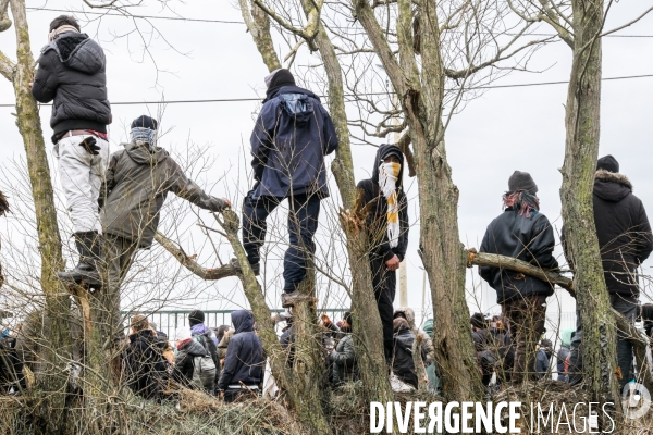 Calais, la jungle en sursis