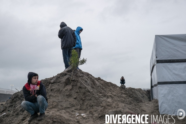 Calais, la jungle en sursis