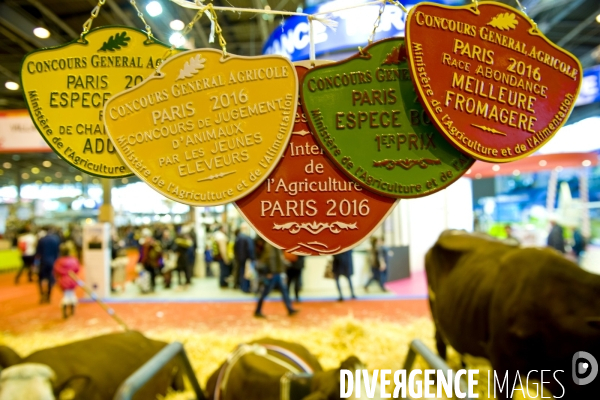 Salon de l agriculture 2016.Plaques des concours generaux agricole remportees par la race Abondance