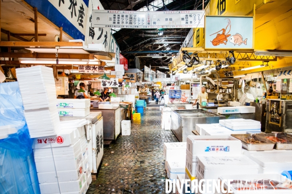 Tsukiji Nippon Fish Port Market