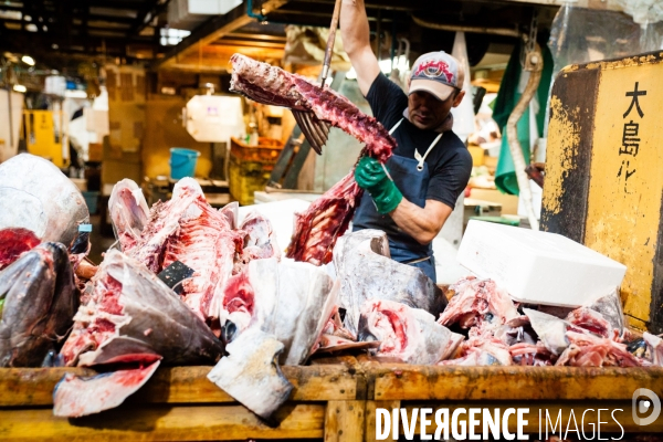 Tsukiji Nippon Fish Port Market