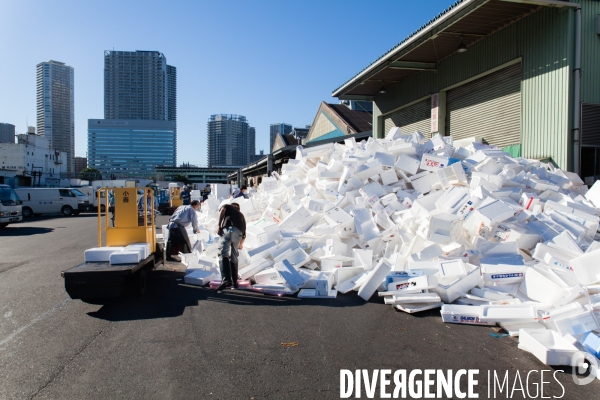 Tsukiji Nippon Fish Port Market