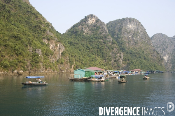 Baie d halong /vietnam