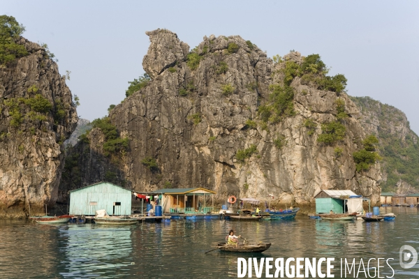 Baie d halong /vietnam