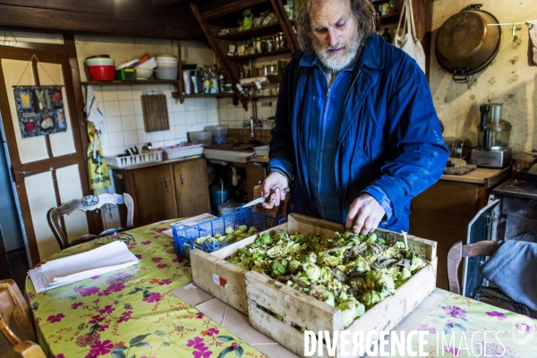 Maraichage Bio au Moulin de Braux - Saison 1, l hiver