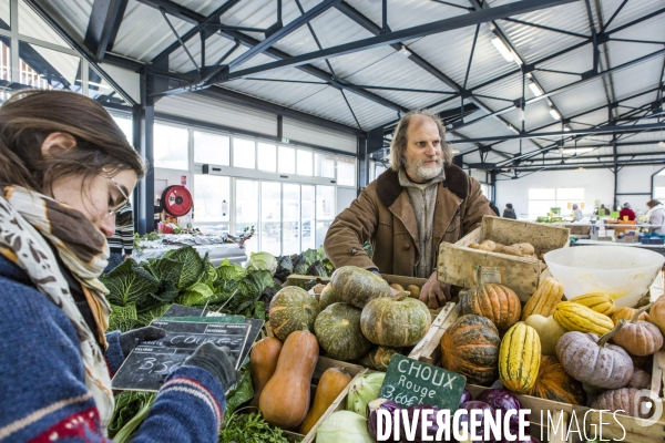 Maraichage Bio au Moulin de Braux - Saison 1, l hiver