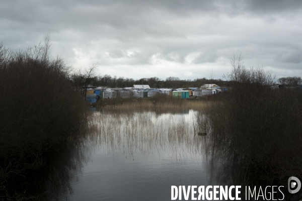 Démantèlement de la zone sud de la Jungle.