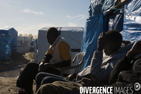 Démantèlement de la zone sud de la Jungle.