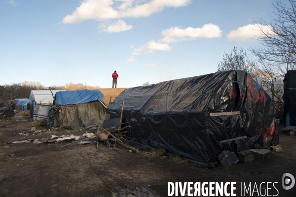 Démantèlement de la zone sud de la Jungle.