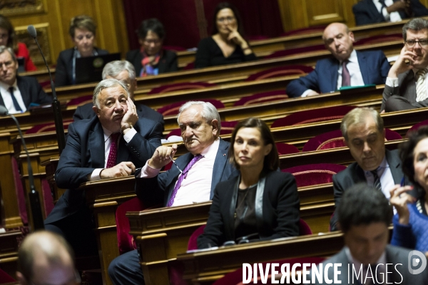 Manuel Valls au Sénat.