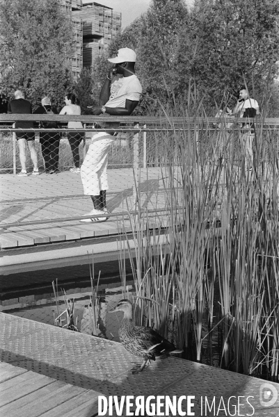 Paris nouveau quartier Clichy-Batignolles : le jardin Martin Luther King en ete
