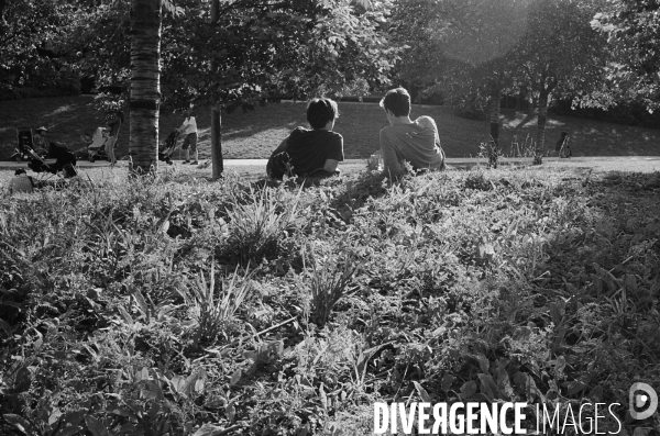 Paris nouveau quartier Clichy-Batignolles : le jardin Martin Luther King en ete
