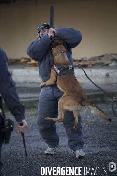 Police Municipale Perpignan : L entrainement