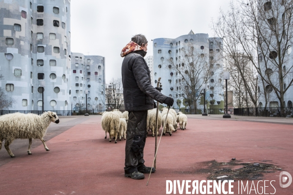 Nanterre, ses Nuages et ses Moutons