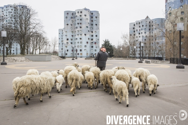 Nanterre, ses Nuages et ses Moutons