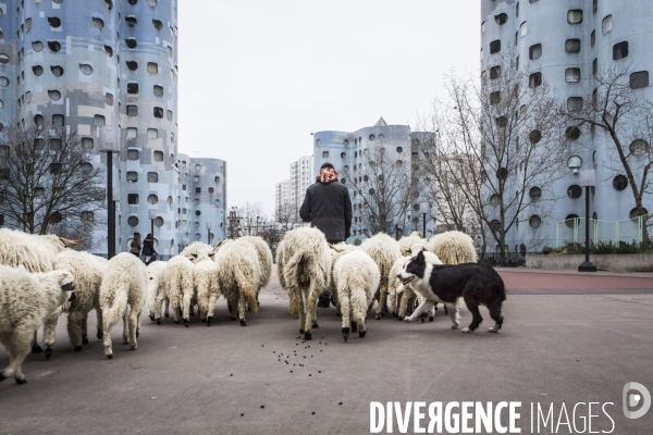 Nanterre, ses Nuages et ses Moutons