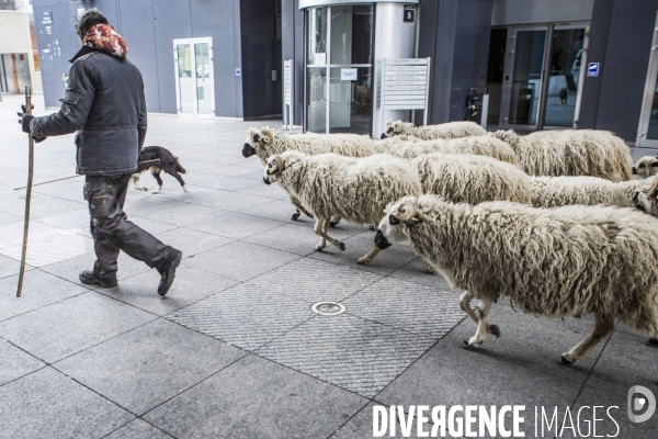 Nanterre, ses Nuages et ses Moutons