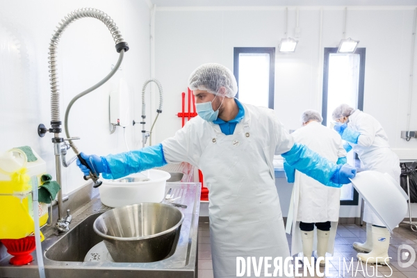 Production de caviar français