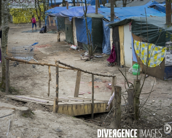 Champs sur Marne, bidonville roumain aménagé dans un bois.